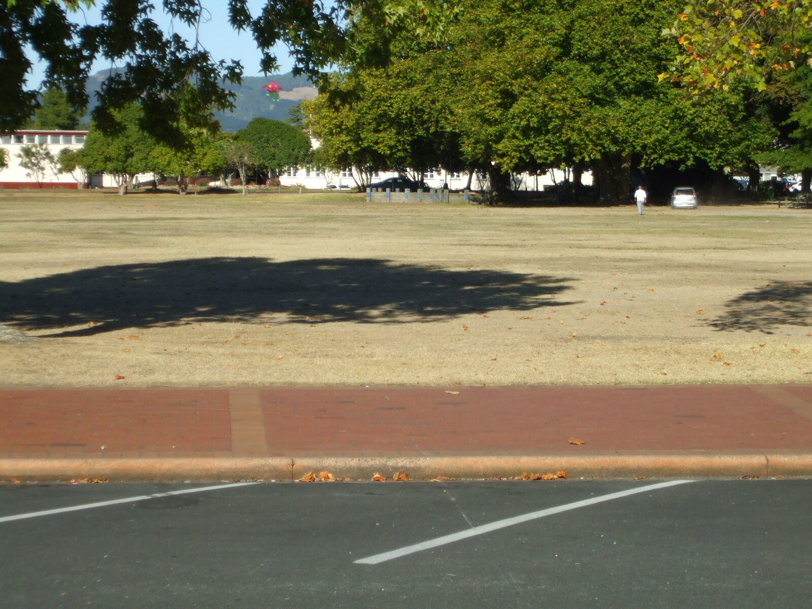 View of the Village Green 