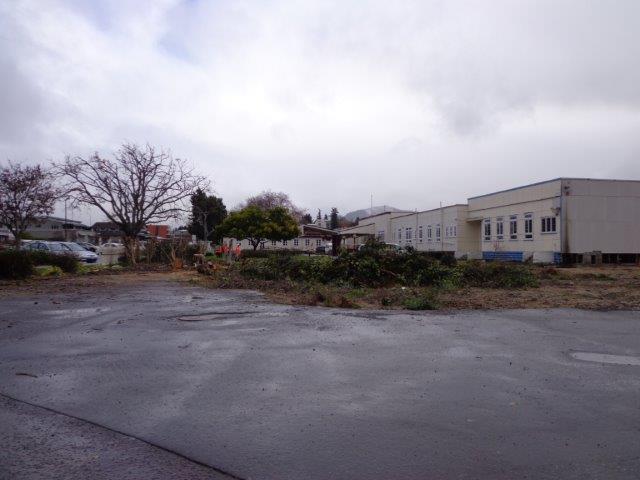 Photograph showing demolition of some of the old hospital wards of QE