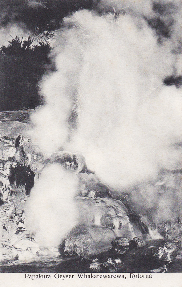Postcard titled "Papakura Geyser, Whakarewarewa, Rotorua"