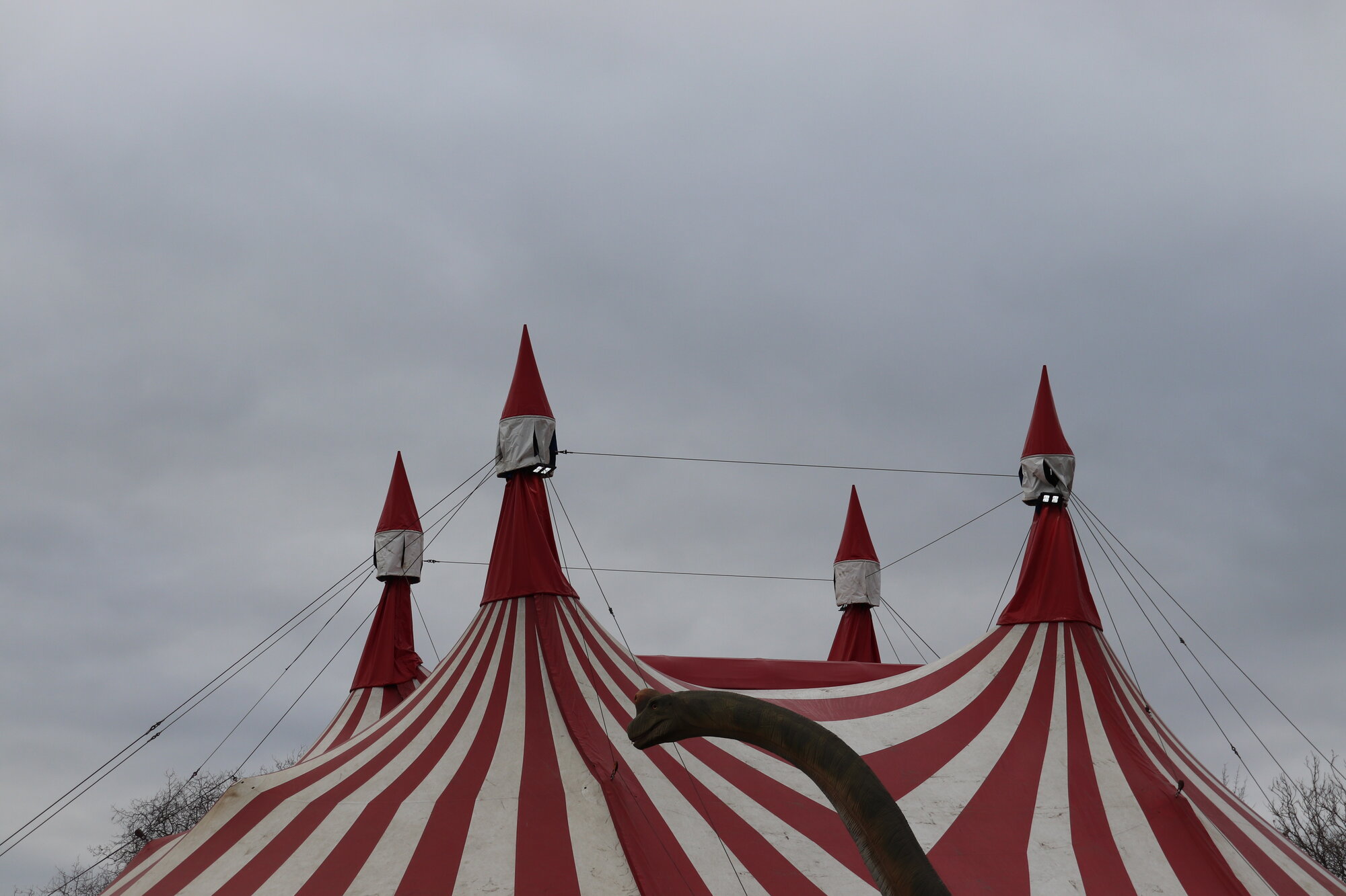 Photograph of the "Dinosaur Circus", 2020