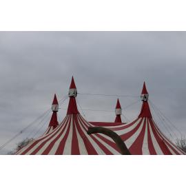 Photograph of the "Dinosaur Circus", 2020