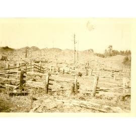 Photograph of the Anderson's farm showing the sheep yards, ca.1932