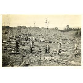 Photograph of the Anderson's farm looking east, ca.1932