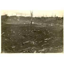 Photograph of the Anderson's farm showing tree stumps, ca.1934