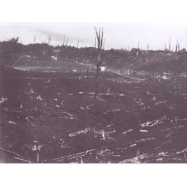Photograph of the Anderson's farm showing tree stumps, ca.1934