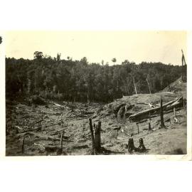 Photograph of the Anderson's farm showing clearing of land, ca.1935
