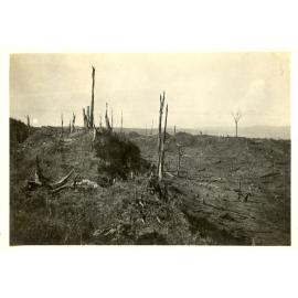 Photograph of the Anderson's farm showing clearing of land, ca.1935
