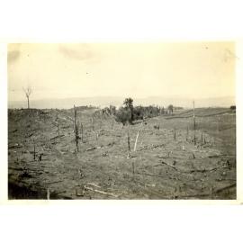 Photograph of the Anderson's farm showing clearing of land, ca.1935