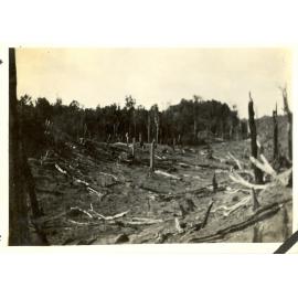 Photograph of the Anderson's farm showing clearing of land, ca.1935