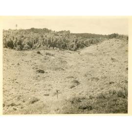 Photograph of Tui Ridge Farm, described as the "basin paddock", ca.1957
