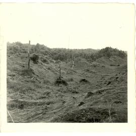 Photograph of Tui Ridge Farm: view of the "bush paddock", ca.1957