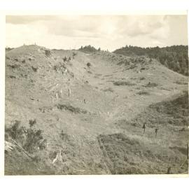 Photograph of Tui Ridge Farm showing where Mr Robinson would start clearing, ca.1957
