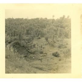 Photograph of Tui Ridge Farm showing bush to be cleared, ca.1957