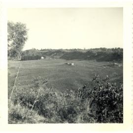 Photograph of Tui Ridge Farm showing farm paddock development, ca.1957