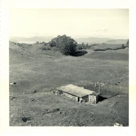 Photograph of Tui Ridge Farm showing the old cow shed, ca.1957