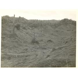 Photograph of Tui Ridge Farm, ca.1957