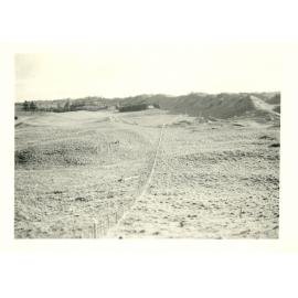 Photograph of Tui Ridge Farm showing the bush paddock, ca.1957