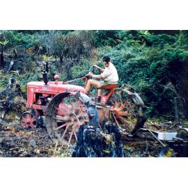 Photograph of Richard Robinson clearing scrub and blackberry, ca.1957