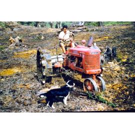 Photograph of Richard Robinson clearing scrub and blackberry, ca.1957