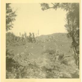 Photograph of Tui Ridge Farm, ca.1957