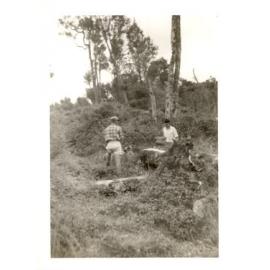 Photograph of Tui Ridge Farm, ca.1957