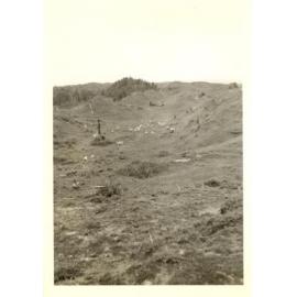Photograph of Tui Ridge Farm, ca.1957
