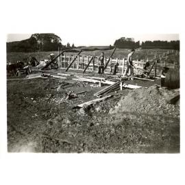 Photograph of Tui Ridge Farm cowshed construction, ca.1958