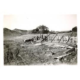 Photograph of Tui Ridge Farm cowshed construction, ca.1958