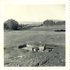 Photograph of Tui Ridge Farm cowshed construction, ca.1958