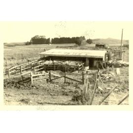 Photograph of Tui Ridge Farm cowshed, ca.1958