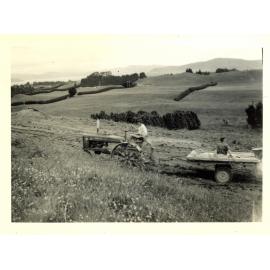 Photograph of Richard Robinson sowing seeds, ca.1959
