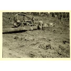 Photograph of logging operation on Tui Ridge Farm, ca.1959