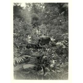 Photograph of Richard Robinson driving a tractor in the bush, ca.1959