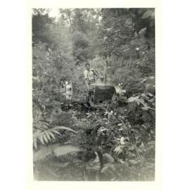 Photograph of Richard Robinson driving a tractor in the bush, ca.1959