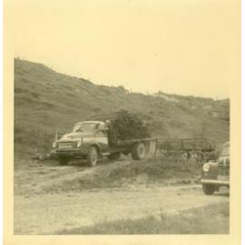 Photograph of Tui Ridge Farm lorry loaded with punga, ca.1959