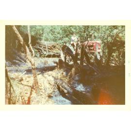 Photograph of Richard Robinson with a load of punga, 1962