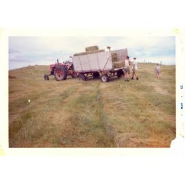 Photograph of Tui Ridge Farm haymaking season, 1963
