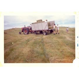 Photograph of Tui Ridge Farm haymaking season, 1963