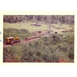 Photograph of Tui Ridge Farm, ca.1965