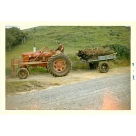 Photograph of Tui Ridge Farm, ca.1965