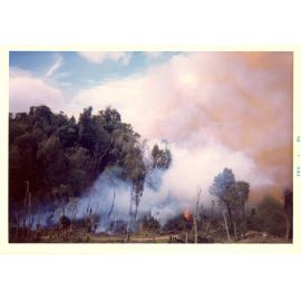 Photograph of Tui Ridge Farm showing the bush burn-off, ca.1966