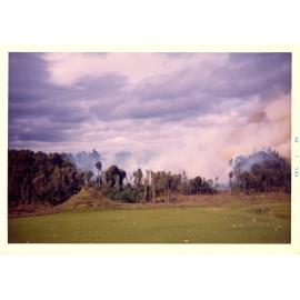 Photograph of Tui Ridge Farm showing the bush burn-off, ca.1966