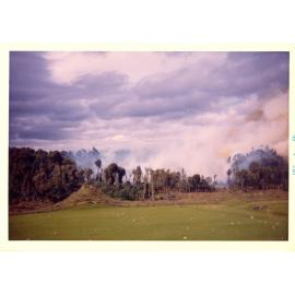 Photograph of Tui Ridge Farm showing the bush burn-off, ca.1966