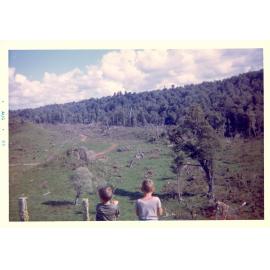 Photograph of Tui Ridge Farm with two children, ca.1966