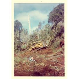 Photograph of Tui Ridge Farm showing logging, ca.1967