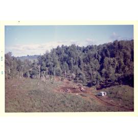 Photograph of Tui Ridge Farm showing logging, ca.1967