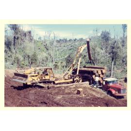 Photograph of Tui Ridge Farm showing the logging of Tawa, ca.1969