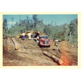 Photograph of Tui Ridge Farm showing the logging of Tawa, ca.1969