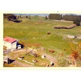 Photograph of Tui Ridge Farm, ca.1969
