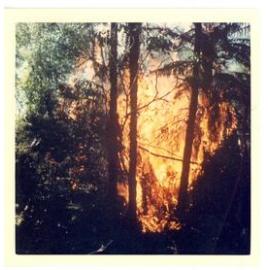 Photograph of Tui Ridge Farm showing bush burn-off, 1969